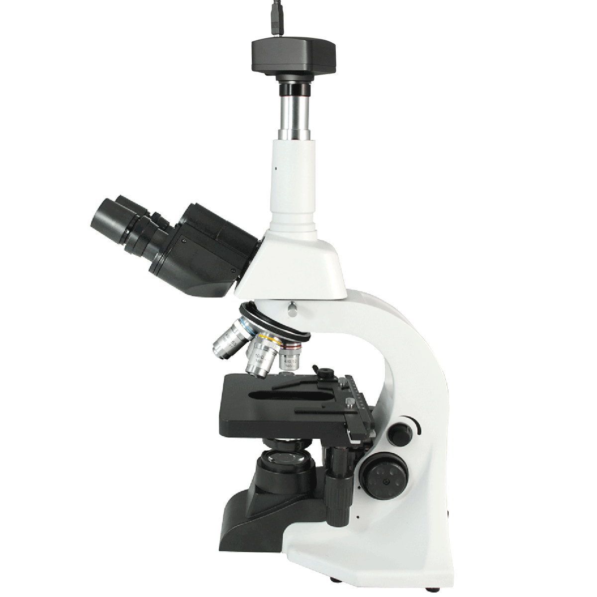 Biological Microscope